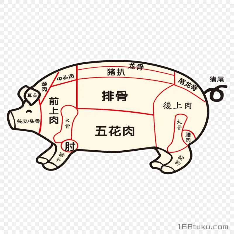 猪肉分割图部位分区图png素材免抠素材png免费下载